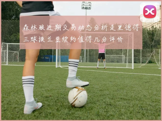 森林狼近期交易动态分析走里德得三球换兰豆续约值得几分评价
